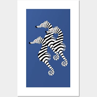 Sea Zebras Posters and Art